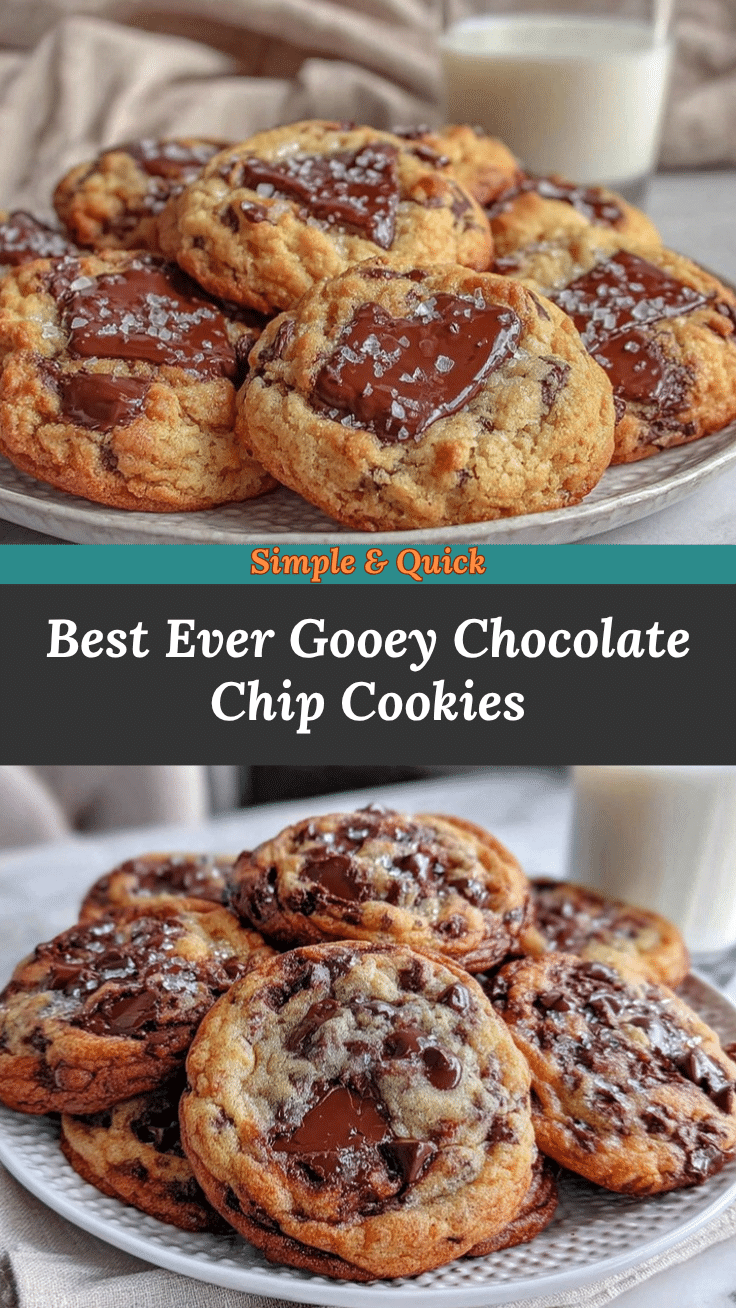 chewy chocolate chip cookies recipe