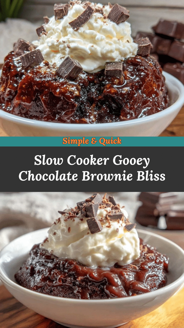 slow cooker chocolate lava brownie pudding recipe