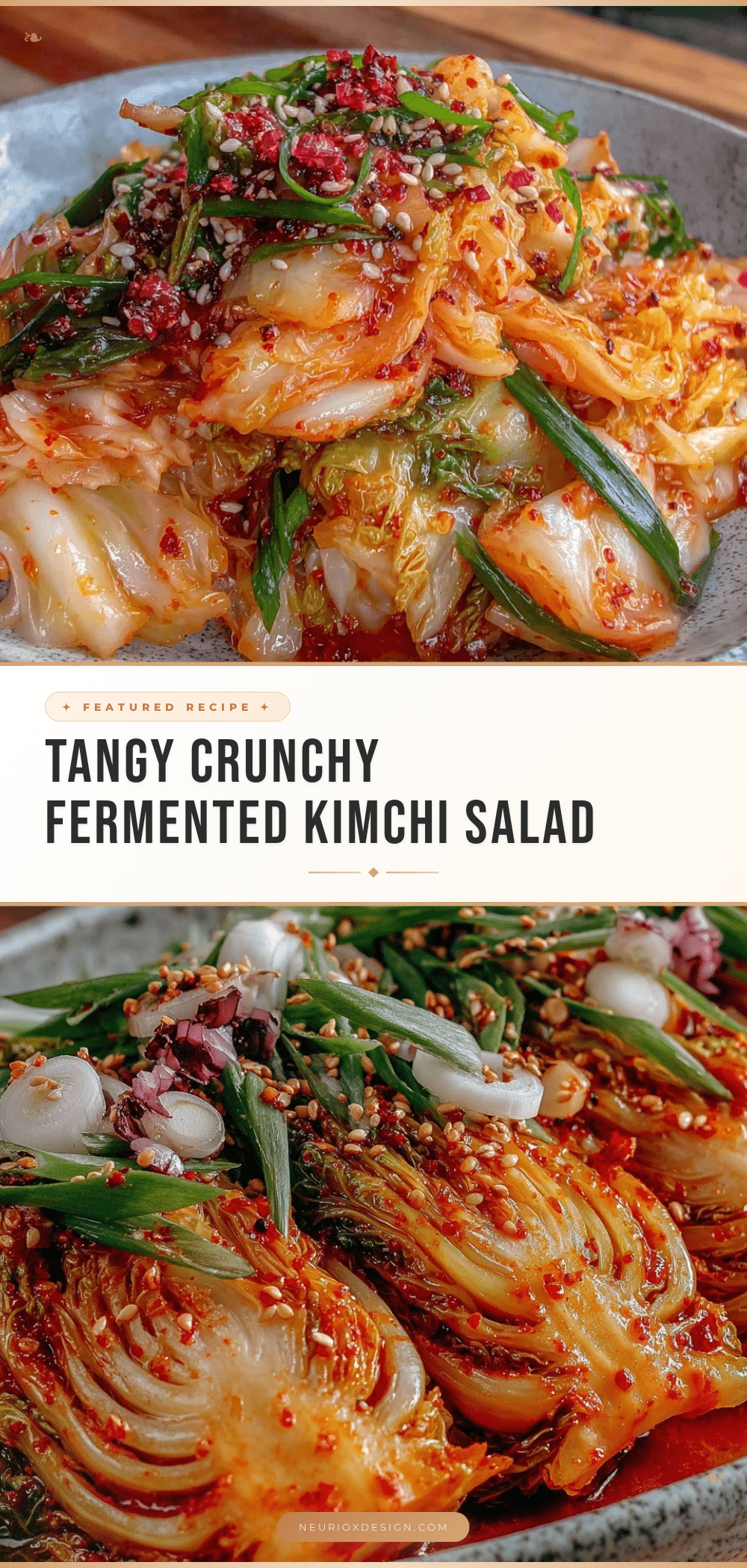 tangy fermented vegetable kimchi salad recipe