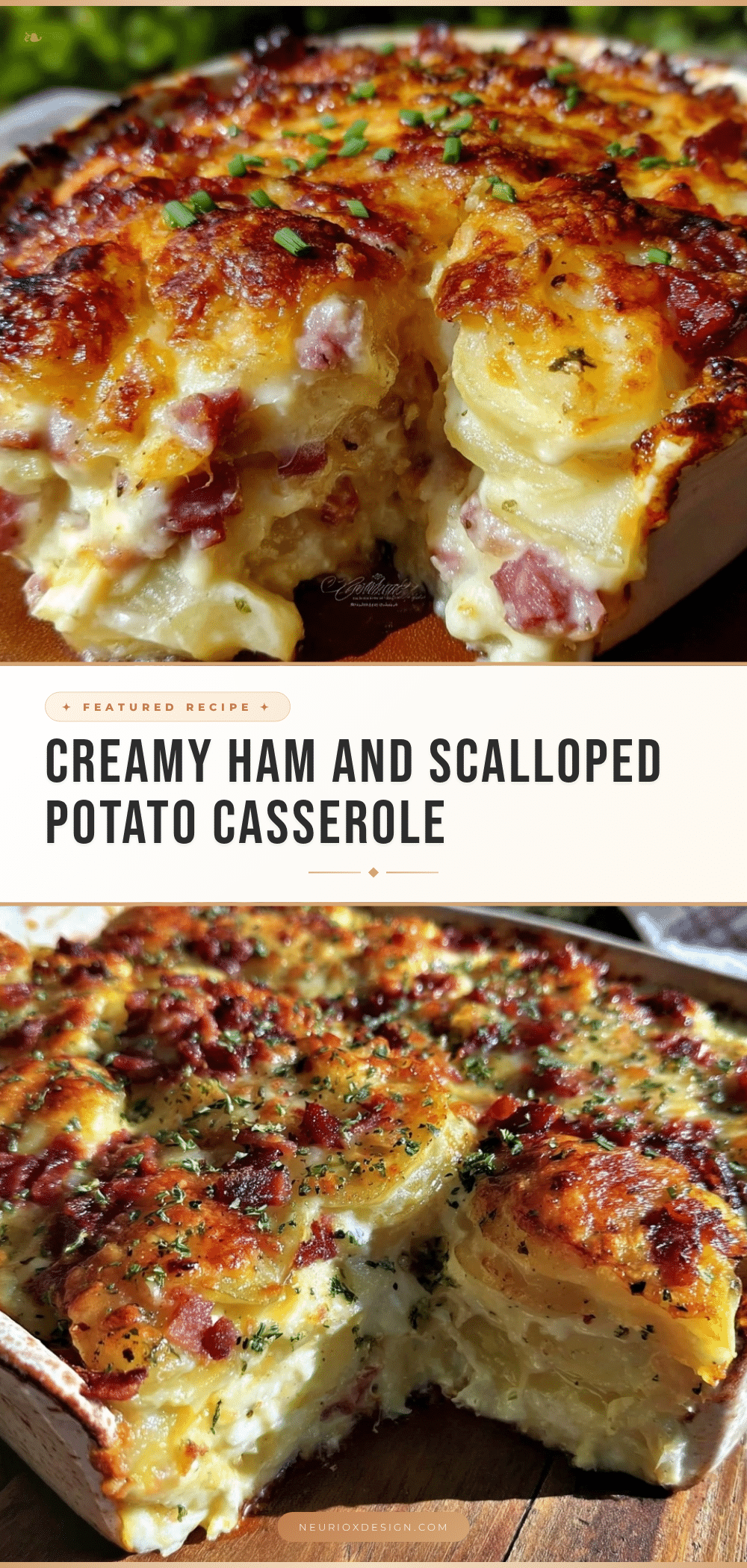 creamy ham and scalloped potato casserole recipe
