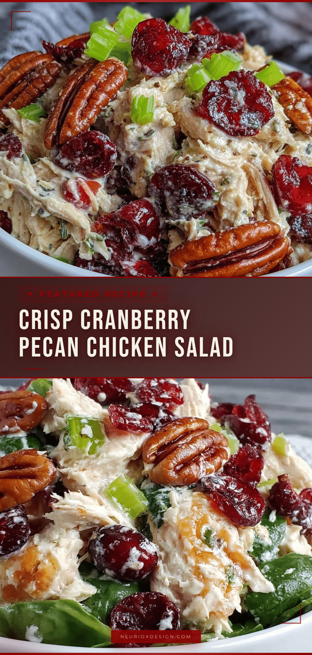 fresh cranberry pecan chicken salad recipe
