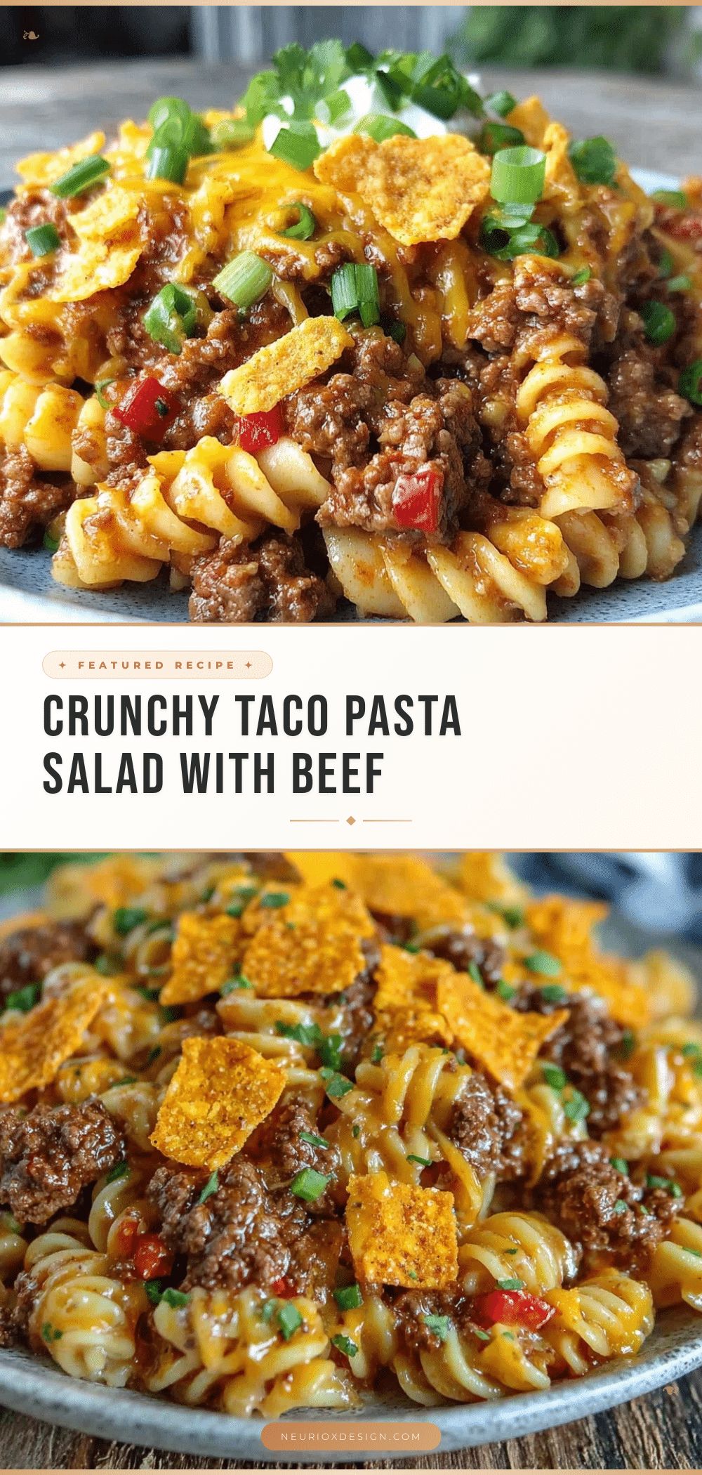 taco pasta salad recipe